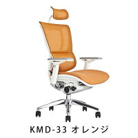 【完成品】エルゴヒューマンフィット(ErgohumanFit)/ヘッドレスト付【梱包材を無料で処分】【家財便配送】高機能メッシュチェア/オフィスチェア