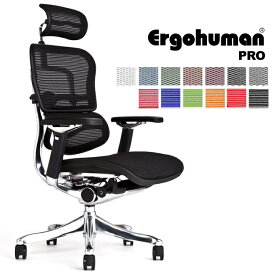 《期間中ポイント10倍！》【完成品】エルゴヒューマン プロ/ ヘッドレスト付 【梱包材を無料で処分】【家財便配送】アルミベースヘッドレスト/高機能メッシュオフィスチェア