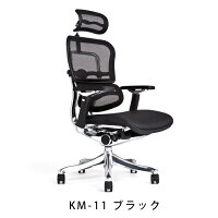 《期間中ポイント10倍!》【完成品・即納】エルゴヒューマンプロ/ヘッドレスト付【梱包材を無料で処分】【家財便配送】アルミベースヘッドレスト/高機能メッシュオフィスチェア/EGP