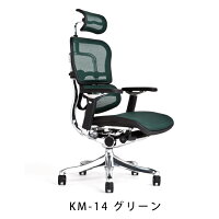 《期間中ポイント10倍!》【完成品・即納】エルゴヒューマンプロ/ヘッドレスト付【梱包材を無料で処分】【家財便配送】アルミベースヘッドレスト/高機能メッシュオフィスチェア/EGP