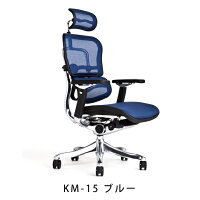 《期間中ポイント10倍!》【完成品・即納】エルゴヒューマンプロ/ヘッドレスト付【梱包材を無料で処分】【家財便配送】アルミベースヘッドレスト/高機能メッシュオフィスチェア/EGP