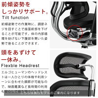新商品《期間中ポイント10倍!》【完成品】エルゴヒューマンプロ/クッション座面タイプ(座カラー:ブラックのみ限定)/ヘッドレスト付【搬入・設置・梱包材引取り無料】【家財便送料無料】高機能メッシュオフィスチェア/EGP