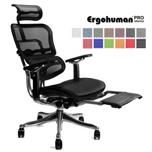 《期間中ポイント10倍!》【新仕様!完成品】エルゴヒューマン プロ オットマン内蔵型(ラチェット式オットマン高さ調節タイプ)【梱包材を無料で処分】【家財便配送】高機能メッシュオフィスチェア
