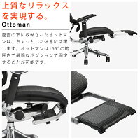 《期間中ポイント10倍!》【完成品】エルゴヒューマンプロオットマン内蔵型(ラチェット式オットマン高さ調節タイプ)【梱包材を無料で処分】【家財便配送】高機能メッシュオフィスチェア/EGP/オフィスチェアーOAチェアーデスクチェアー