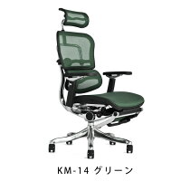 《期間中ポイント10倍!》【完成品】エルゴヒューマンプロオットマン内蔵型(ラチェット式オットマン高さ調節タイプ)【梱包材を無料で処分】【家財便配送】高機能メッシュオフィスチェア/EGP/オフィスチェアーOAチェアーデスクチェアー
