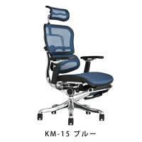 《期間中ポイント10倍!》【完成品】エルゴヒューマンプロオットマン内蔵型(ラチェット式オットマン高さ調節タイプ)【梱包材を無料で処分】【家財便配送】高機能メッシュオフィスチェア/EGP/オフィスチェアーOAチェアーデスクチェアー