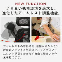 《期間中ポイント10倍!》【完成品】エルゴヒューマンプロオットマン内蔵型(ラチェット式オットマン高さ調節タイプ)【梱包材を無料で処分】【家財便配送】高機能メッシュオフィスチェア/EGP/オフィスチェアーOAチェアーデスクチェアー