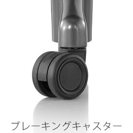 《正規店 メーカー保証対応可 梱包材回収 P5倍》Herman Miller ハーマンミラー ブレーキングキャスター（DC1キャスター）5個1脚分 アーロンリマスタード専用 Aeron Chairs Remastered用ソフトキャスター 1脚分：5ケセット（オプション）【メーカー保証：ご購入より1年間】