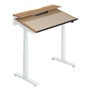 RN(KOKUYO) / SEQUENCE V[NGX / `ge[u / X^_[hJ[(VI) / rFzCg / tXybNo[ / 1200^Cv(1150mm) / 700(675mm) / ֎q