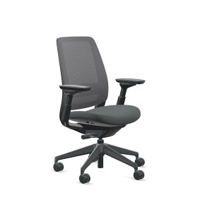 �ySteelcase�z�X�`�[���P�[�X / Series2�i�V���[�Y2�j / 3D�}�C�N���j�b�g�d�l / �A�W���X�^�u���A�[�� / �u���b�N�t���[�� / ���n�FOtto , Omni-R / �\�t�g�L���X�^�[�d�l / �֎q