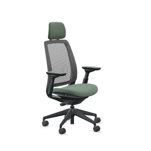�ySteelcase�z�X�`�[���P�[�X / Series2�i�V���[�Y2�j / �v���X�`�b�N�G�A�o�b�N�d�l / �A�W���X�^�u���A�[�� / �w�b�h���X�g�L / �u���b�N�t���[�� / ���n�FOtto , Omni-R / �\�t�g�L���X�^�[�d�l / ��