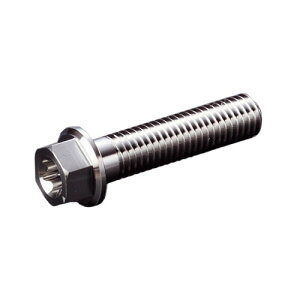 64�`�^���{���g �g���N�X�y M6×L25 P1.0 �z�`�^�������t�����W�Z�p torx