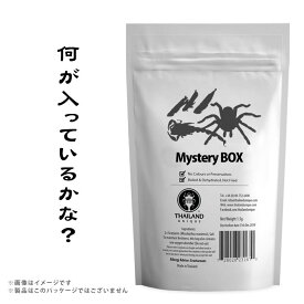 昆虫食 食用 閲覧注意【昆虫ガチャ】どの子が届くかはお楽しみ！お得なミステリーボックス YouTubeで大流行 食用 昆虫食 良質な脂質が含まれた高栄養食 高蛋白で低糖質 豊富なアミノ酸 ミネラル JR UNIQUE サソリ タガメ タランチュラ おやつ スナック菓子 栄養満点 完全食