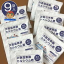 プール塩素除菌剤【顆粒】10g×9袋入り 【ゆうパケット 送料無料】 ビニールプール 大型 家庭用プール・小規模 ビニー… 