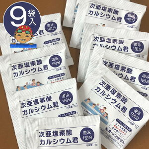 プール塩素消毒剤【顆粒】10g×9袋入り 【ゆうパケット 送料無料】 ビニールプール 大型 家庭用プール・小規模 ビニールプール用 大型プール 水道代削減 除菌 除菌剤 遊泳剤