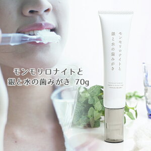 【モンモリロナイトと銀と水の歯みがき 70g 】モンモリスト歯みがき 歯磨き粉 虫歯予防 粘土科学研究所 自然の洗浄剤