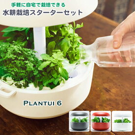 自動水循環システム搭載 水耕栽培キット Plantui 6 スターターセット LED 種植物育成 北欧スタイル オーガニック 室内型水耕栽培 家庭菜園 ハイドロステーション