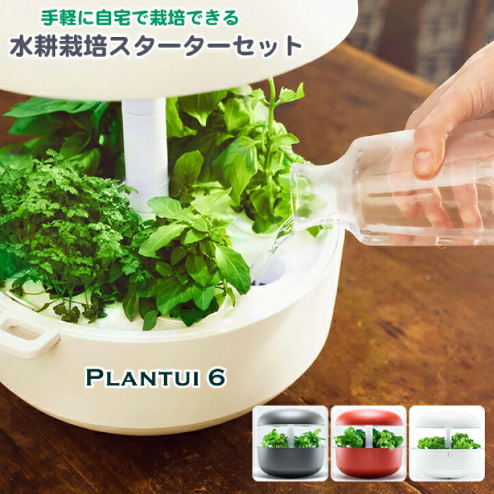 楽天市場】自動水循環システム搭載 水耕栽培キット Plantui 6  