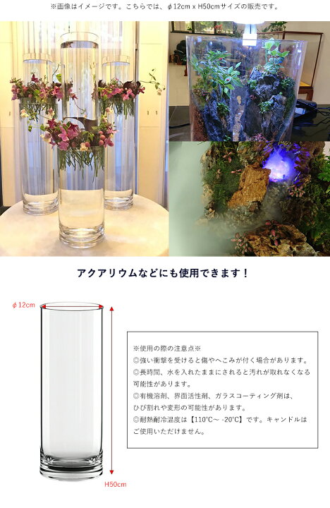 楽天市場 割れない 花が長持ちする魔法の花器 Foyerのポリカーボネート花器 F12cm X H50cm 高透明度 穴を開ける事も可能 生け花 花瓶 お洒落 アクアリウムにも使える 送料無料 想いを繋ぐ百貨店 Tsunagu