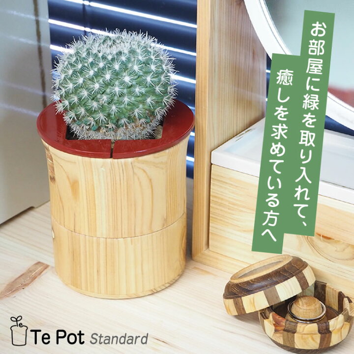 楽天市場】Te Pot Standard テポット スタンダード 室内 プランター 