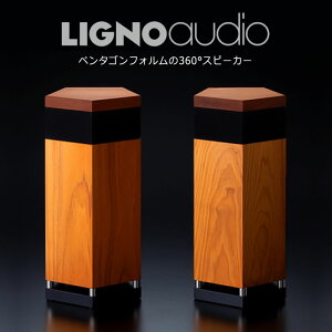 OmI[fBI LIGNOaudio SP-50SS pbVuXs[J[ ō؍ qmL w jt LIGNOTEXC OmebNX dtN^  RpNg   CeA y^S