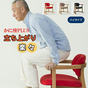 ɍPLUSynC^Cvzオ₷Ђ|t̍֎q ֎q `FA    v[g oAt[ GɗD I|t ֎q VjA җ