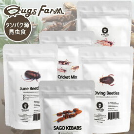 楽天市場 ゲテモノ スイーツ お菓子 の通販