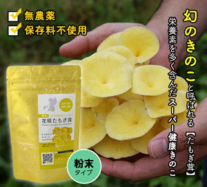 @ԍ炽 GS`IlC  ^M^P F{蒬Y Y  h{ Lx N ̂̂ ̂ R[Q OV A~m_ e X[p[t[h 