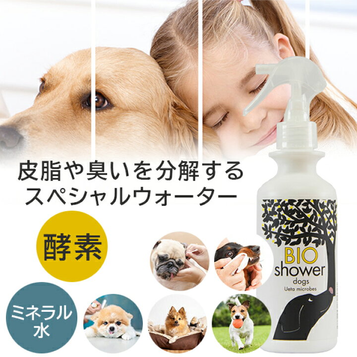 楽天市場 Bio Shower 酵素ミスト 犬用 100 天然由来 介護 シャワー お風呂嫌いのペットに 犬 ワンちゃん 流さないシャワー ドライシャワー 除菌 消臭 グルーミング 耳掃除 酵素 ミネラルウォーター 安心 安全 Bio Shower 想いを繋ぐ百貨店 Tsunagu