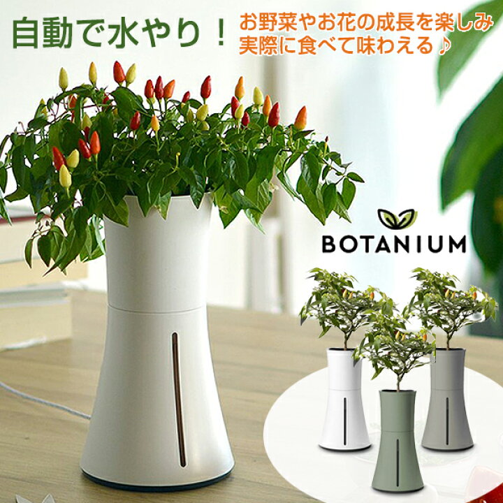 楽天市場 Botanium ボタニアム スマートプランター 水耕栽培 キット おしゃれ 自動で水やり 水耕栽培器 水耕栽培セット 水耕栽培プランター 家庭菜園 ガーデニング コンパクト スマート ミニマルデザイン インテリア スウェーデン 想いを繋ぐ百貨店 Tsunagu