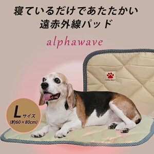 ԊO ybgpbh At@EF[u alphawave y^`^FLTCY(60×80cm)zoeB[Y p  L Lppbh pbg }bg xbhpbh H~ ~   Č V