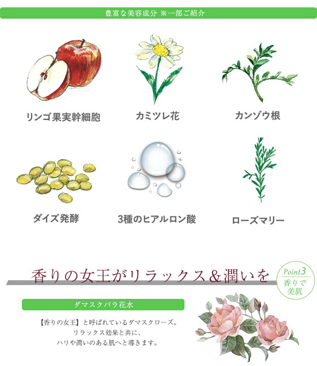 楽天市場】Grace J エンリッチシャイニングマスクシート グレイスJ 