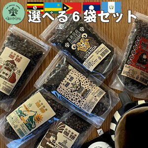 �I�ׂ�100g×6�܃Z�b�g�y����100�� �R�[�q�[�z���E�����猵�I���������������� ���̂܂�