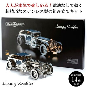 Time for Machine IȃXeX̑gݗăLbgLuxury Roadster OWA[ [hX^[ ͌^ tBMA ^p[c X^CbV ^ f [}Cd| CeA v