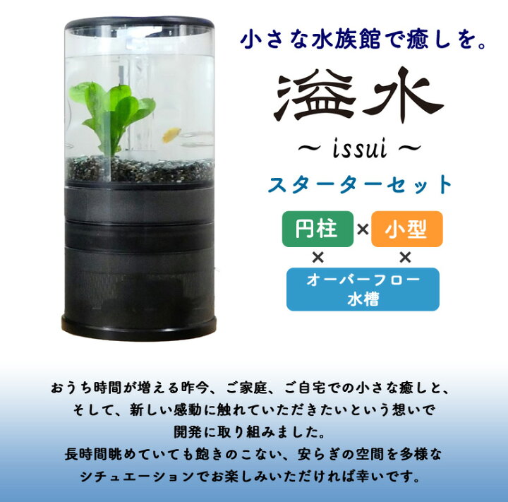 楽天市場】溢水 いっすい【スターターセット】オーバーフロー水槽 お重 