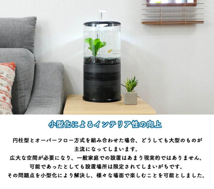 楽天市場】溢水 いっすい【スターターセット】オーバーフロー水槽 お重 