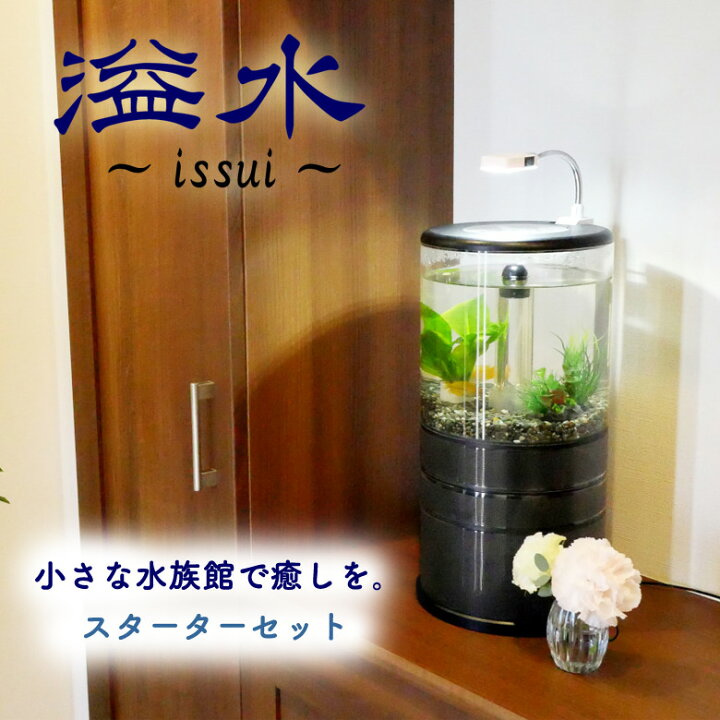楽天市場】溢水 いっすい【スターターセット】オーバーフロー水槽 お重 
