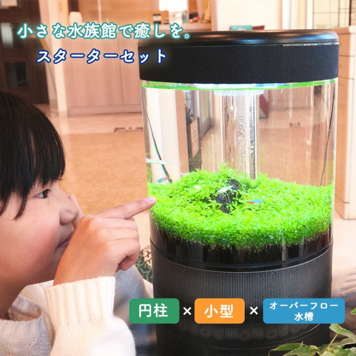 楽天市場 溢水 いっすい スターターセット オーバーフロー水槽 お重構造 円柱型 アクアリウム 水族館 小型 スリム 持ち運び インテリア ろ過 すいそう オーバフロー方式 お手入れ簡単 ポンプ ウールマット 生物ろ材 想いを繋ぐ百貨店 Tsunagu