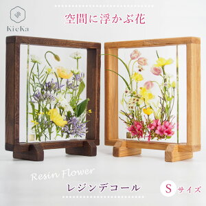 sumika iX~JjWfR[ ؐ t[ Zbg kieKaiLGJj  n[oE CeA  Ǌ| ǂ X^h  v[g j JXj Vzj