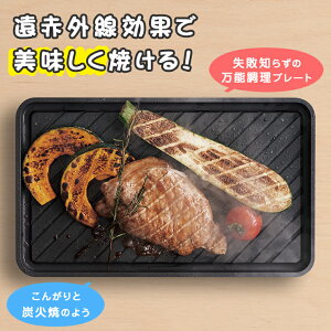 Sumi Ita grill X~C^O Ov[g Op ^ zbgv[g v[g tCp ԊO KXR IHgp Y Yv[g J[{ ₹̂Â茤 Lb
