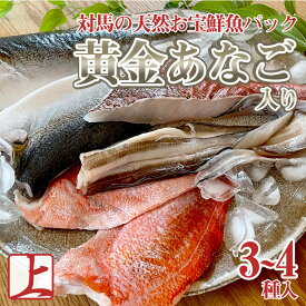楽天市場 穴子 刺身の通販