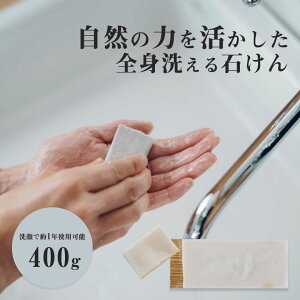 cokage ؂΂ 400g tTCY VR R[hvZX AvRbgIC VAo^[ GbZVIC 䒬 II_C tOX A}  F X vX`