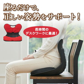 ヒップクッションチェア 骨盤サポート椅子 Hip Cushion Chair お尻が痛くなりにくい 正しい姿勢 習慣 姿勢改善 猫背 長時間 デスクワーク 姿勢のゆがみ 姿勢サポート カバー洗える 持ち運び コンパクト スリム