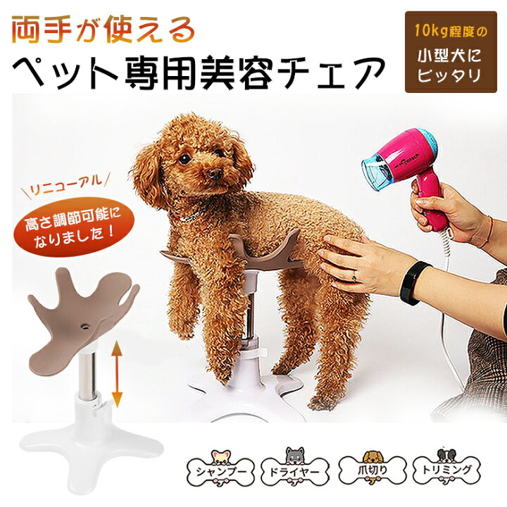 楽天市場】【リニューアルバージョン】サムソンサロン samson salon 犬  