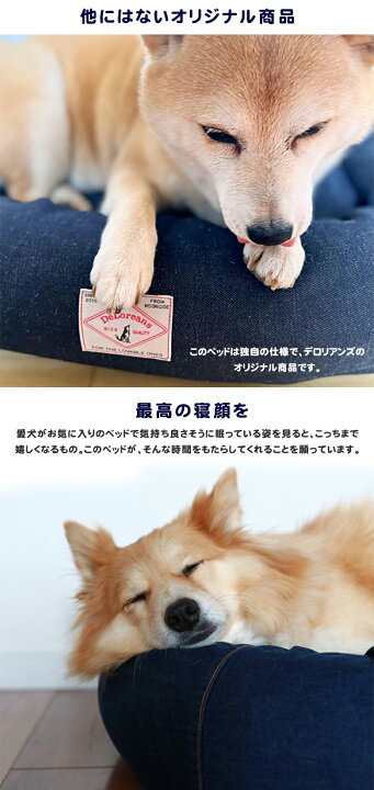 与え 犬用ベッド デニムm Deloreans デロリアンズ 穴澤賢 ベッド Mサイズ オーガニックコットン 人気 Fucoa Cl 与え 犬用ベッド デニムm Deloreans デロリアンズ 穴澤賢 ベッド Mサイズ オーガニックコットン 人気 Fucoa Cl