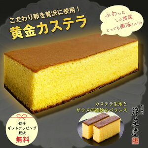 JXeylEbsOEܑΉzJXe aَq V Qԓ ُ El Ă Ă َq XC[c  ґ ɏ 藑 Mtg 蕨 j