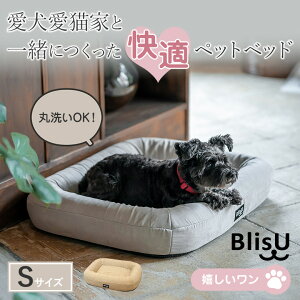Blis.U ybgxbhySTCYzBlisU uX pxbh Lpxbh NbV ې 􂦂 @  ̈U xbh C K ̖ԏ\ C-CORE3D |G`t@Co[ 