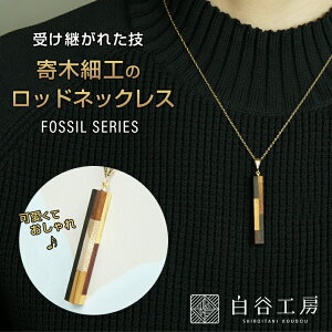 JH[ ؂̃bhlbNX FOSSIL SERIES ؍׍H lbNX 킢  fB[X ANZT[ FOSSIL SERIES bhlbNX   ؐ  nhCh El `