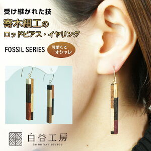 JH[ ؂̃bhsAX CO FOSSIL SERIES ؍׍H sAX 킢  fB[X ANZT[   ؐ  nhCh El ` { SHIROITANI KOUBOU