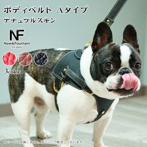 Now&Fountain {fBxg A^Cv i`XL TYPE A {fB[xg ofBxg On[lX ^ ^ t`uhbO {XgeA ybg  U[ {v p hbO 